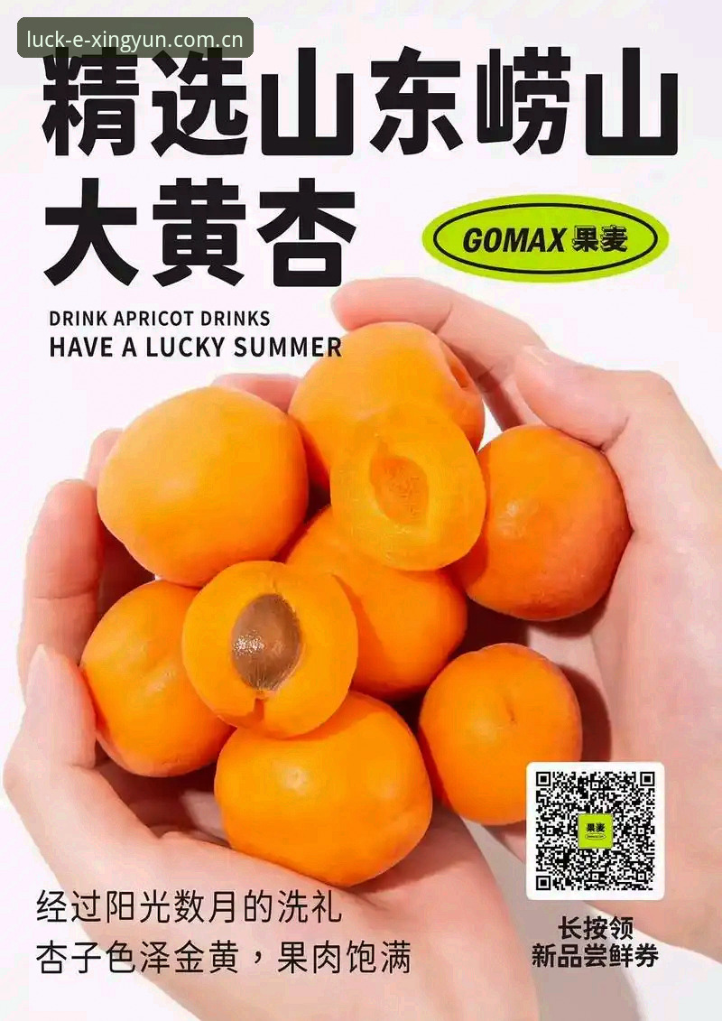 揭秘杏运CN体育数据最新版：你以为只是换了个皮？门道全在这儿